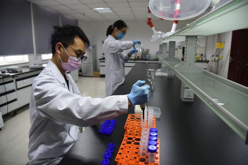 以技術(shù)為盾，護(hù)航人民健康 記開封市食藥檢驗(yàn)所的疫情逆行者