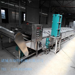 諸城瑞特 專業(yè)黃桃果醬全自動不銹鋼巴氏殺菌機(jī)制造商